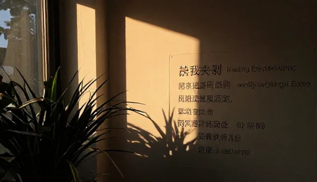 光线运用在视觉优化中的常见误区与正确理解